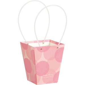 SG Wonder zone/y[p[obN_5p@ʃsN/381-044Py07z[10] ԊA[X ԊEԕr Ԋ