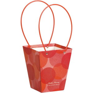 SG Wonder zone/y[p[obN_5p@ʃbh/381-044Ry07z[10] ԊA[X ԊEԕr Ԋ