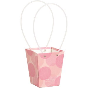 SG Wonder zone/y[p[obN_4p@ʃsN/381-045Py07z[10] ԊA[X ԊEԕr Ԋ