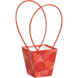 SG Wonder zone/y[p[obN_3p@ʃbh/381-046Ry07z[10] ԊA[X ԊEԕr Ԋ