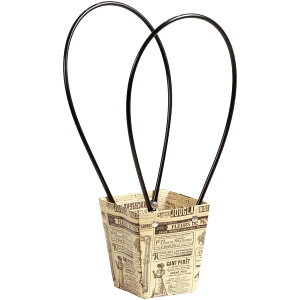 SG Wonder zone/j[Xy[p[obN@_2D5p/381-039y07z[10] ԊA[X ԊEԕr Ԋ