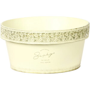 yΖӃZ[zSG Wonder zone/Lt@K[fuL񂹔3pzCg/549-204Wy07z K[fjOE|pi v^[ ACAEuL