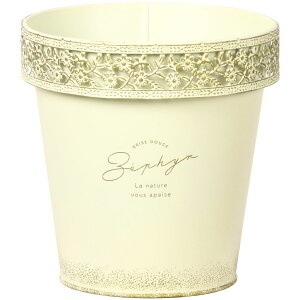 SG Wonder zone/LtK[fuL_4pzCg/549-40DWy07z K[fjOE|pi v^[ ACAEuL