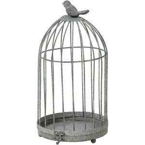 yΖӃZ[zSG Wonder zone/AeB[NuL@o[hQ[WL@O[/540-041Gy07z ԊA[X ԊEԕr C[Ԋ