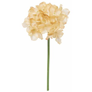 yԁzroH|/nChWV[gXe/VE-6827-LT/YEy01z ԁiA[eBtBVt[j  ԍށusv izԁj