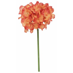 yԁzroH|/nChWV[gXe/VE-6827-ORy01z ԁiA[eBtBVt[j  ԍށusv izԁj