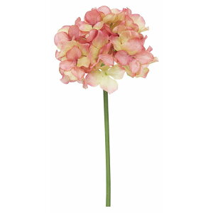 yԁzroH|/nChWV[gXe/VE-6827-PI/LTGRy01z ԁiA[eBtBVt[j  ԍށusv izԁj