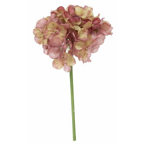 yԁzroH|/nChWV[gXe/VE-6827-PU/GRy01z ԁiA[eBtBVt[j  ԍށusv izԁj