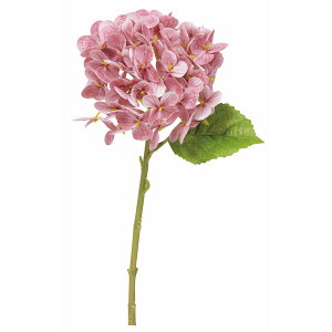 yԁzroH|/i`nChWA/VA-2573-RE/PUy01z ԁiA[eBtBVt[j  ԍށusv izԁj