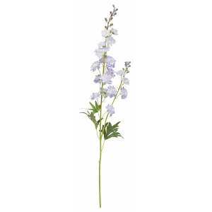 yԁzroH|/ftBjE/VA-2570-LT/LAy01z ԁiA[eBtBVt[j  ԍށusv ftBj[