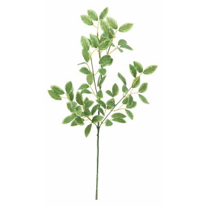 yԁzroH|/~jtBJXXv[/VFG-5697-GRy01z ԁiA[eBtBVt[j ԗtAtFCNO[ ̑̑ԗtEtFCNO[