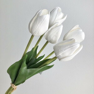 yԁzMAGIQ/~`[bvoh #1 WHITE/FM008051-001y01z ԁiA[eBtBVt[j  ԍށusv `[bv