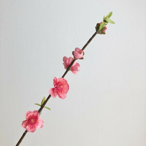 【造花】アスカ/桃ピック ホットピンク/A-03849-23H【01】 造花(アーティフィシャルフラワー) 造花 花材「ま行」 モモ(桃)