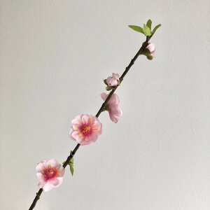 yԁzAXJ/sbN@sN/A-03849-3y01z ԁiA[eBtBVt[j  ԍށu܍sv ij