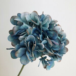 yԁzAXJ/nChWA@009@u|/A-32529-009y01z ԁiA[eBtBVt[j  ԍށusv izԁj