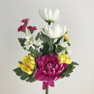   yԁzAXJ/ԁ@046@~bNX/A-32543-046y01z dp p  tďH~