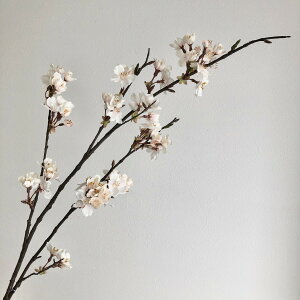 yԁzAXJ/×50 ڂ×10 003 sN/A-33561-003y01z ԁiA[eBtBVt[j  ԍށusv ij