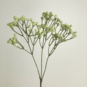 yԁzAXJ/Wv\tB×135 #052B CgO[/A-33816-52By01z ԁiA[eBtBVt[j  ԍށusv ݑ