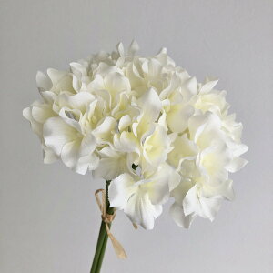 yԁzAXJ/nChWAo`(13{) N[zCg/A-34127-11y01z ԁiA[eBtBVt[j  ԍށusv izԁj