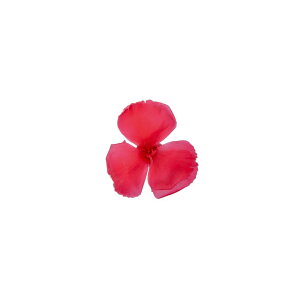 �y�v���U�[�u�h�z�t���[���G�o�[/�_�C�A���T�X 12�� �z�b�g�s���N/FL1401-08�y01�z �v���U�[�u�h�t�����[ �v���U�[�u�h�t�����[�ԍ� ���s ���̑��v���U�[�u�h�t�����[�ԍމԍ� �n���h���C�h��