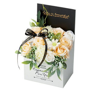 �y�\�[�v�t�����[�z����z�r�[/�G���K���g�V���{��BOX�i�A���e�B�[�N�x�[�W���j/GM-4433�y01�z �v���U�[�u�h�t�����[ �t���O�����X�\�[�v�t�����[ �\�[�v�t�����[�����i�M�t�g �v���[���g �t
