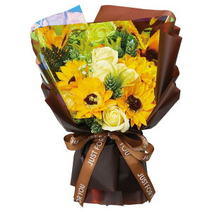 y\[vt[zzr[/Ђ܂V{u[PM/GM-3910y01z vU[uht[ tOX\[vt[ \[vt[i