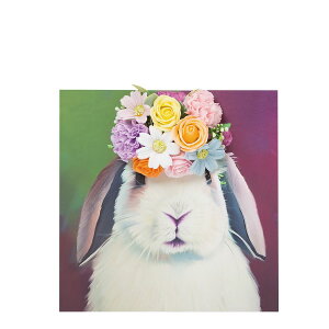 y\[vt[zHillTop/sN`[AW/SM-414y01z vU[uht[ tOX\[vt[ \[vt[i