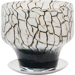 Aؔ  zCG/DGKXRtH[g|bg\[T[/2C00060BKIy07z K[fjOE|pi t[|bg