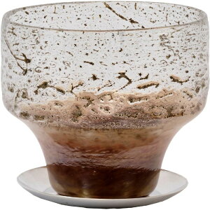 Aؔ  zCG/DGKXRtH[g|bg\[T[/2C00060MBRy07z K[fjOE|pi t[|bg