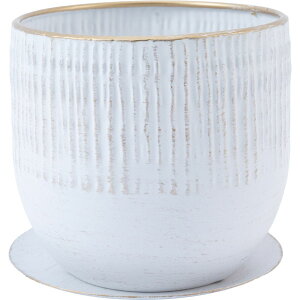 Aؔ  zCG/MC~`A[^eco|bg/3200042GWHGy07z K[fjOE|pi t[|bg ACAEuL