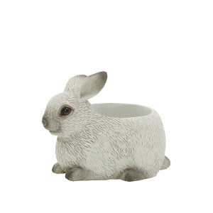 CARNAC/AxAj}14rbgGY O[/WG014GYy01z[4] K[fjOE|pi AؔEt[|bg W