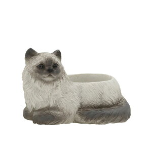 CARNAC/AxAj}22LbgGY O[/WG022GYy01z[4] K[fjOE|pi AؔEt[|bg W