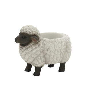 CARNAC/AxAj}23qcWGY O[/WG023GYy01z[4] K[fjOE|pi AؔEt[|bg W