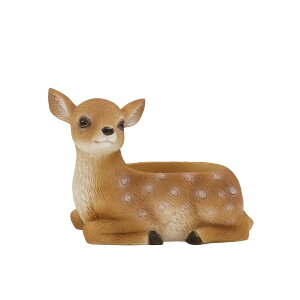 Aؔ  CARNAC/AxAj}25orBR uE/WG025BRy01z[4] K[fjOE|pi t[|bg W