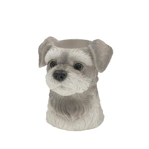 CARNAC/AxAj}04ViEU[GY O[/WG004GYy01z[4] K[fjOE|pi AؔEt[|bg W