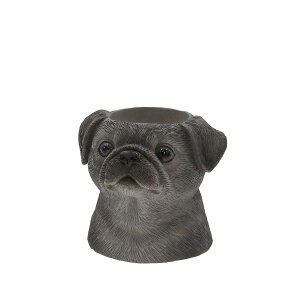 Aؔ  CARNAC/AxAj}06pOBK ubN/WG006BKy01z[4] K[fjOE|pi t[|bg W