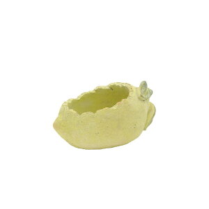 Aؔ  CARNAC/V^t[c/LC031y01z K[fjOE|pi t[|bg Zg