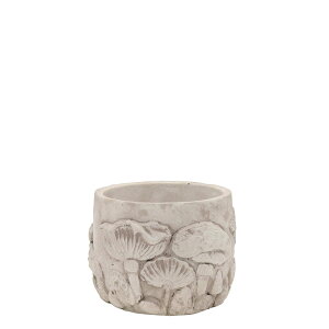 CARNAC/G}bV[A-S/SQ14y01z K[fjOE|pi AؔEt[|bg Zg