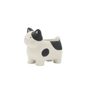 CARNAC/v^LbgB-BK ubN/CP2529BKy01z[4] K[fjOE|pi AؔEt[|bg Zg