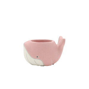 Aؔ  CARNAC/NW|bg25S-PK sN/CP2532PKy01z[6] K[fjOE|pi t[|bg Zg