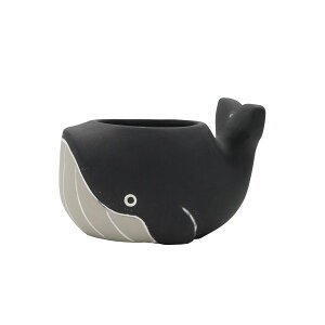 CARNAC/NW|bg25L-BK ubN/CP2533BKy01z K[fjOE|pi AؔEt[|bg Zg