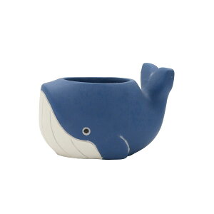 CARNAC/NW|bg25L-BL u[/CP2533BLy01z K[fjOE|pi AؔEt[|bg Zg