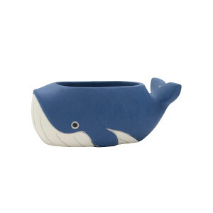 CARNAC/クジラポット25ワイドBL ブルー/CP2534BL【01】 ガーデニング・園芸用品 植木鉢・フラワーポット セメント鉢