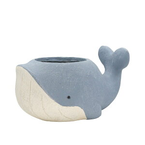 Aؔ  CARNAC/Aj}|bgNW25-S-BL u[/GFB198BLy01z K[fjOE|pi t[|bg OXt@Co[