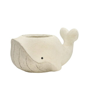 Aؔ  CARNAC/Aj}|bgNW25-S-WH zCg/GFB198WHy01z K[fjOE|pi t[|bg OXt@Co[