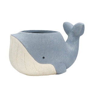 CARNAC/Aj}|bgNW25-L-BL u[/GFB199BLy01z K[fjOE|pi AؔEt[|bg OXt@Co[