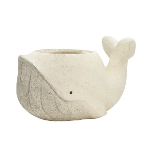 Aؔ  CARNAC/Aj}|bgNW25-L-WH zCg/GFB199WHy01z K[fjOE|pi t[|bg OXt@Co[