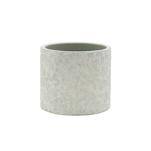 CARNAC/t@rAV_[S-GY O[/CQ2503GYy01z K[fjOE|pi AؔEt[|bg Zg