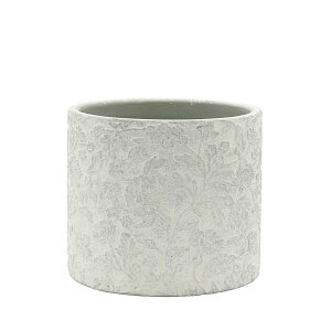 CARNAC/t@rAV_[L-GY O[/CQ2504GYy01z K[fjOE|pi AؔEt[|bg Zg