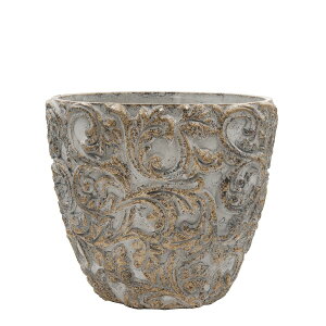 Aؔ CARNAC/}VFx[VbNXL-GD S[h/MM04GDy01z K[fjOE|pi t[|bg Zg